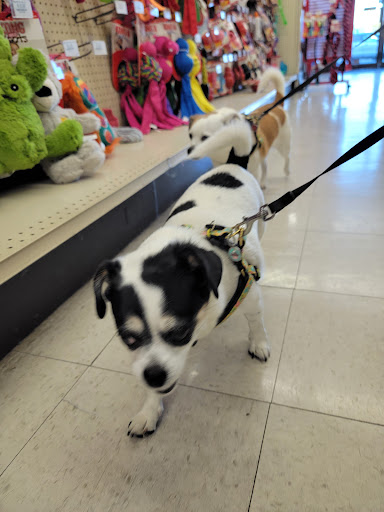 Pet Supply Store «Concord Pet Foods & Supplies», reviews and photos, 19287 Miller Rd, Rehoboth Beach, DE 19971, USA