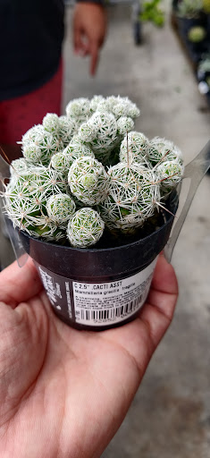 Home Improvement Store «The Home Depot», reviews and photos, 30144 US Hwy 19 N, Clearwater, FL 33761, USA