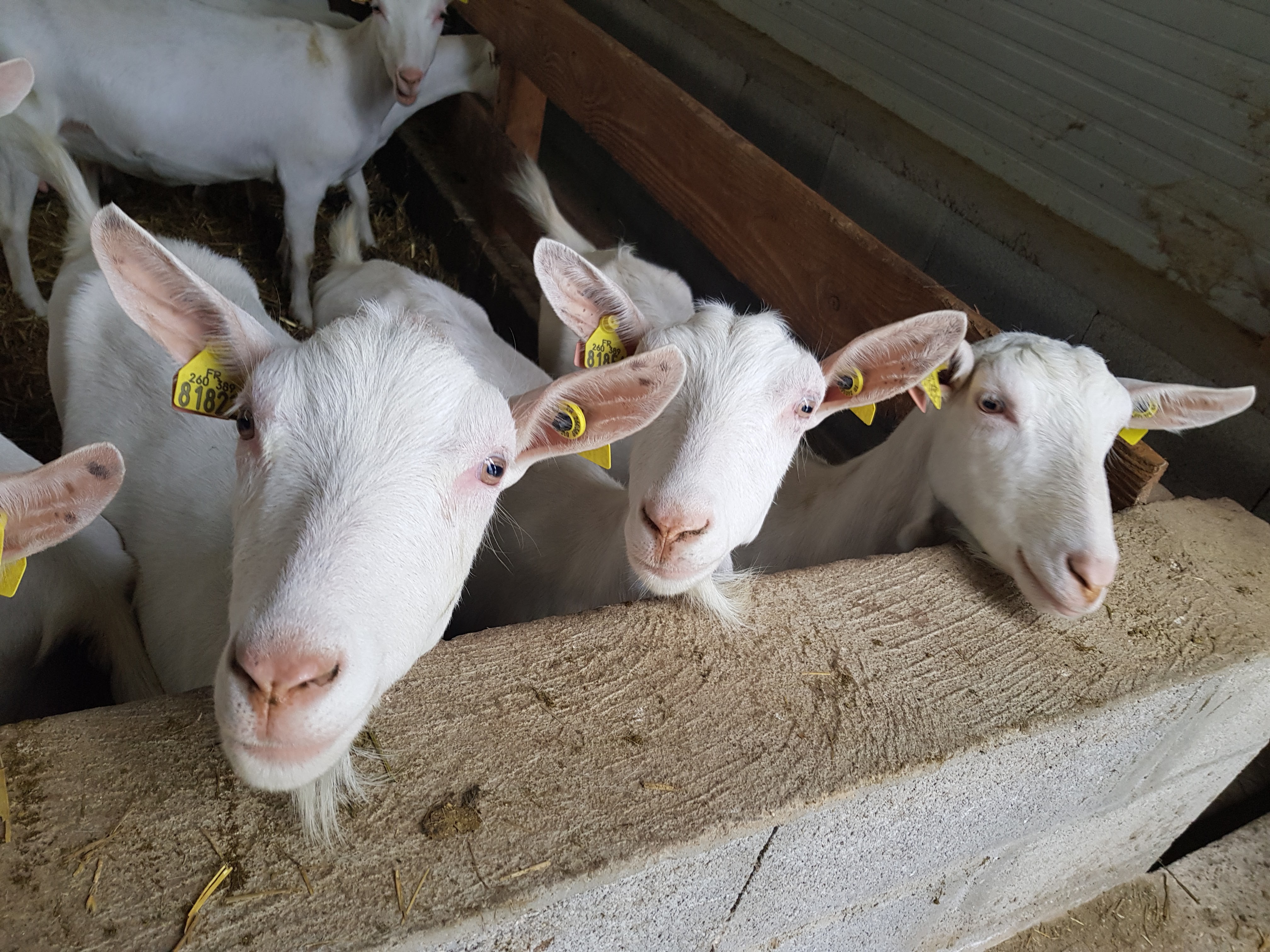 Photo n° 4 de l'avis de christophe.o fait le 26/02/2020 à 21:23