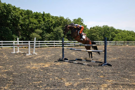 Horse Riding School «Horseng Farm LLC», reviews and photos, 6475 Warden Rd, New Tripoli, PA 18066, USA