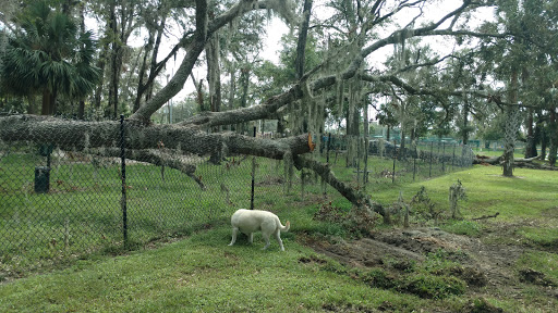 Dog Park «Arbor Dog Park», reviews and photos, 1405 N Grant St, Longwood, FL 32750, USA