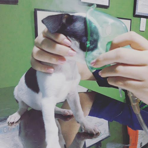 AGROVET CLINICA VETERINARIA