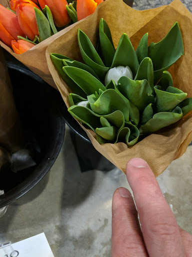 Grocery Store «Whole Foods Market», reviews and photos, 4041 Waller Creek, Highland Village, TX 75077, USA