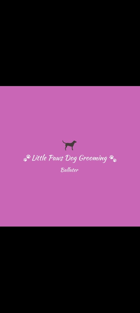 Little Paws Dog Grooming