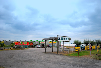 JARDINERIE MARIONNEAU Angers sud à Sainte-Gemmes-sur-Loire