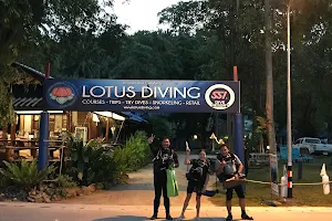 Lotus Diving image