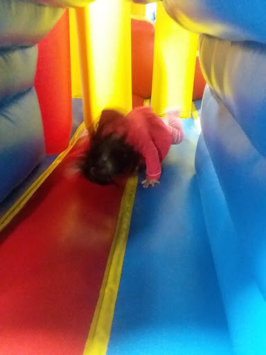 Flea Market «Fox Valley Flea Market», reviews and photos, 840 N State St, Elgin, IL 60123, USA