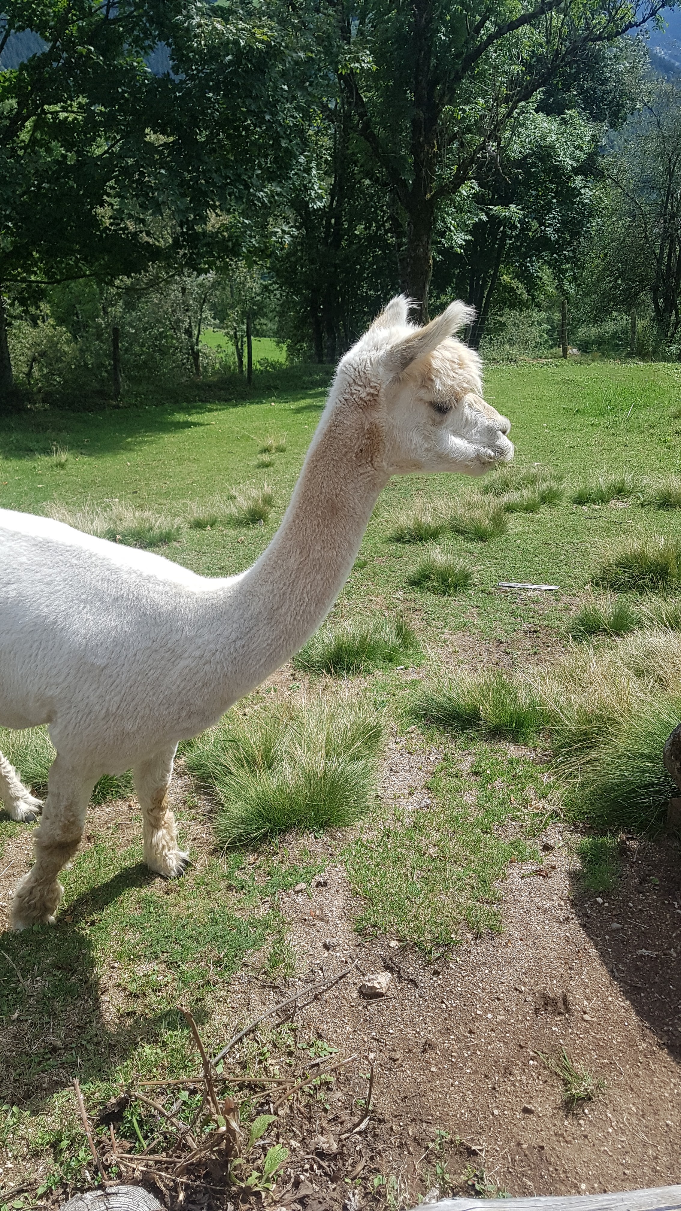 Photo n° 5 de l'avis de melanie_et.c fait le 13/08/2019 à 14:59
