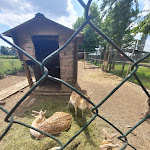 Photo n°2 de l'avis de Maria.u fait le 22/08/2020 à 18:48 sur le  Agriturismo La Crivella à Abbiategrasso