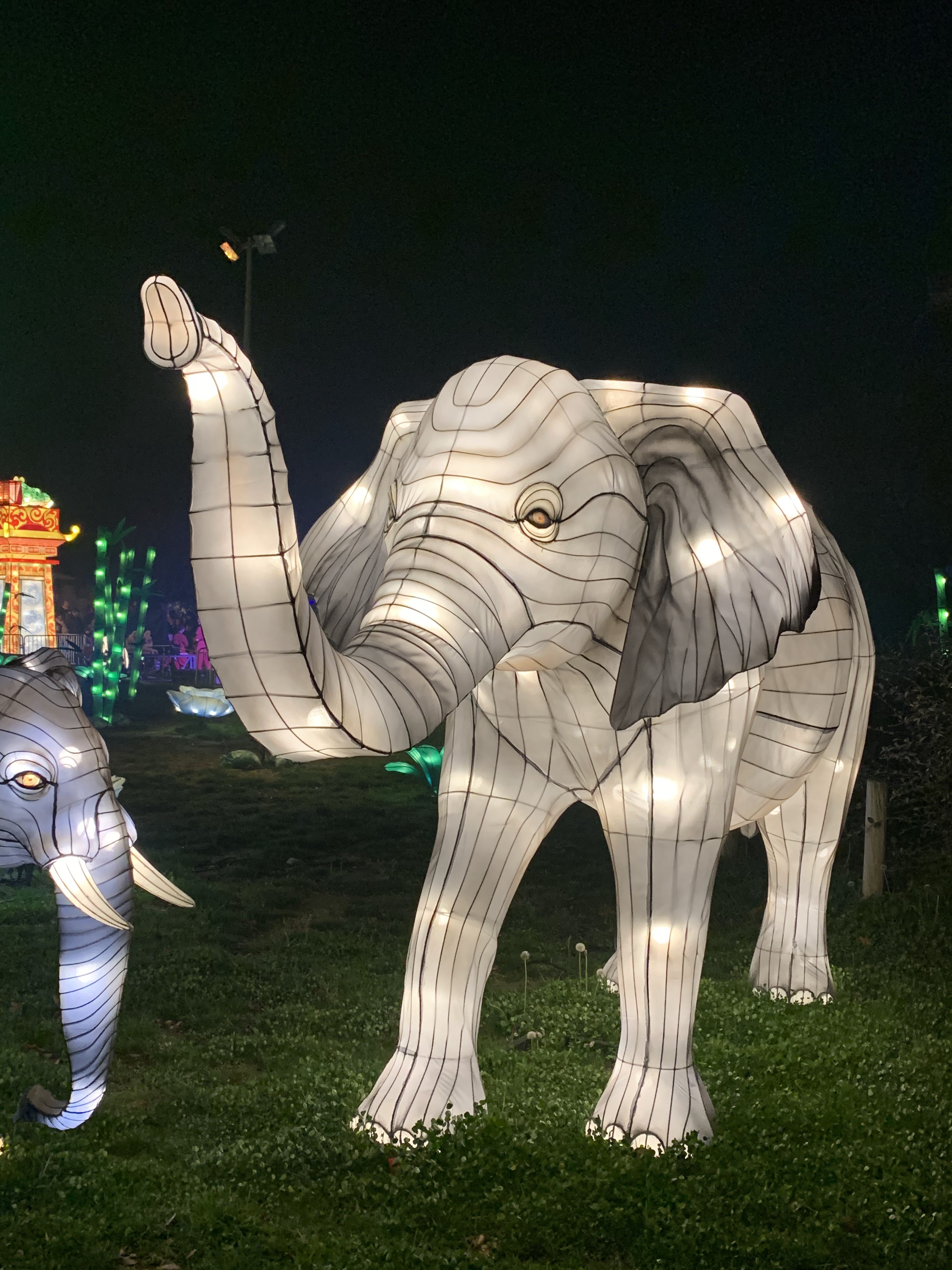 Photo n° 7 de l'avis de C.t fait le 08/01/2020 à 10:58