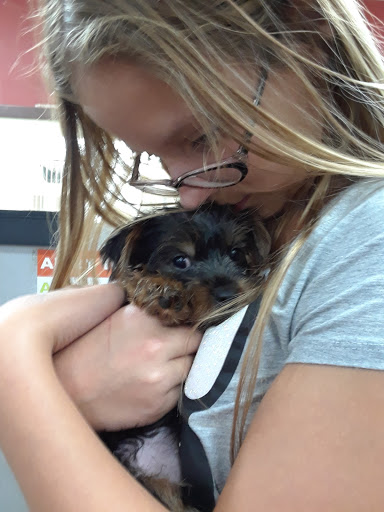 Pet Store «Petland», reviews and photos, 977 E State St, Athens, OH 45701, USA