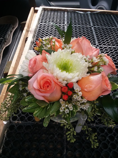 An Empty Vase, 121 Lohmann St, Boerne, TX 78006, USA, 