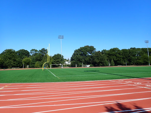 Roy Wilkins Park image 1