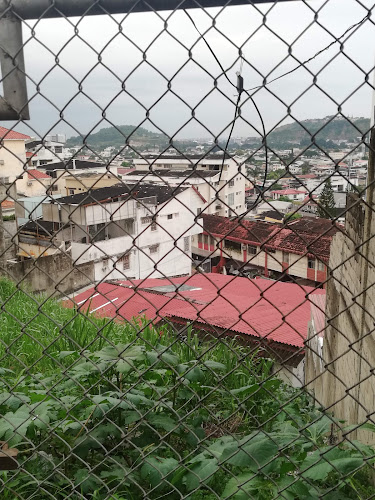 Opiniones de Cancha XtremeSoccer "Lomas de urdesa" en Guayaquil - Campo de fútbol