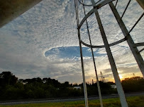Heavy Brush Mowing - Photo 4 - Car repair in Palm Bay, FL, Palm Bay