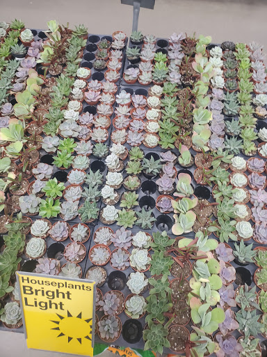 Home Improvement Store «The Home Depot», reviews and photos, 1601 13th Ave E, Tuscaloosa, AL 35404, USA