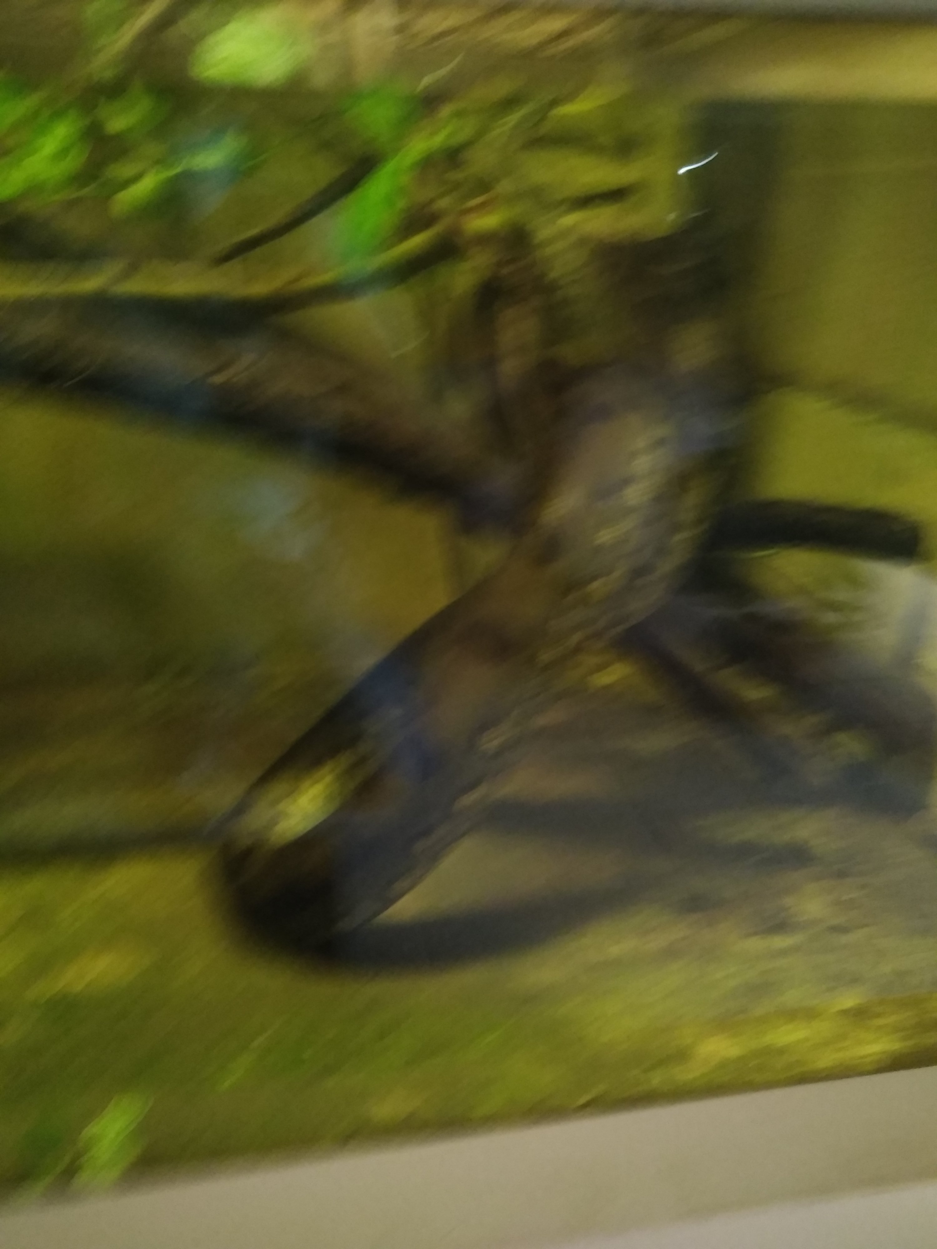 Photo n° 31 de l'avis de Antony.b fait le 16/08/2020 à 13:39
