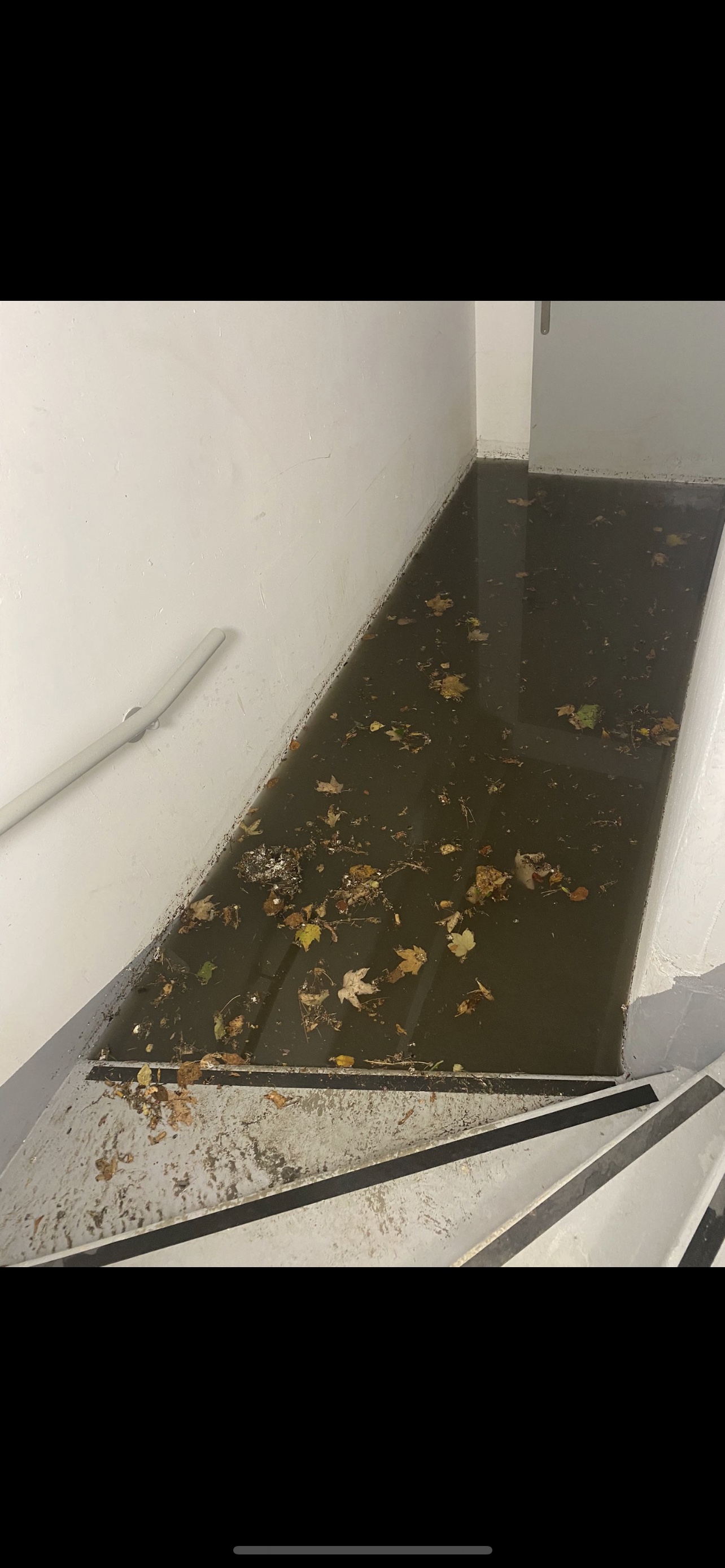 Photo n° 4 de l'avis de Ophélie.a fait le 25/08/2022 à 17:45