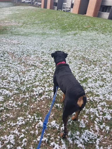 Park «Cumberland Park», reviews and photos, 592 S 1st St, Nashville, TN 37213, USA