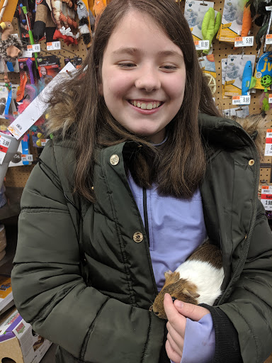 Pet Supply Store «Pet Supplies Plus», reviews and photos, 7701 Mall Rd, Florence, KY 41042, USA