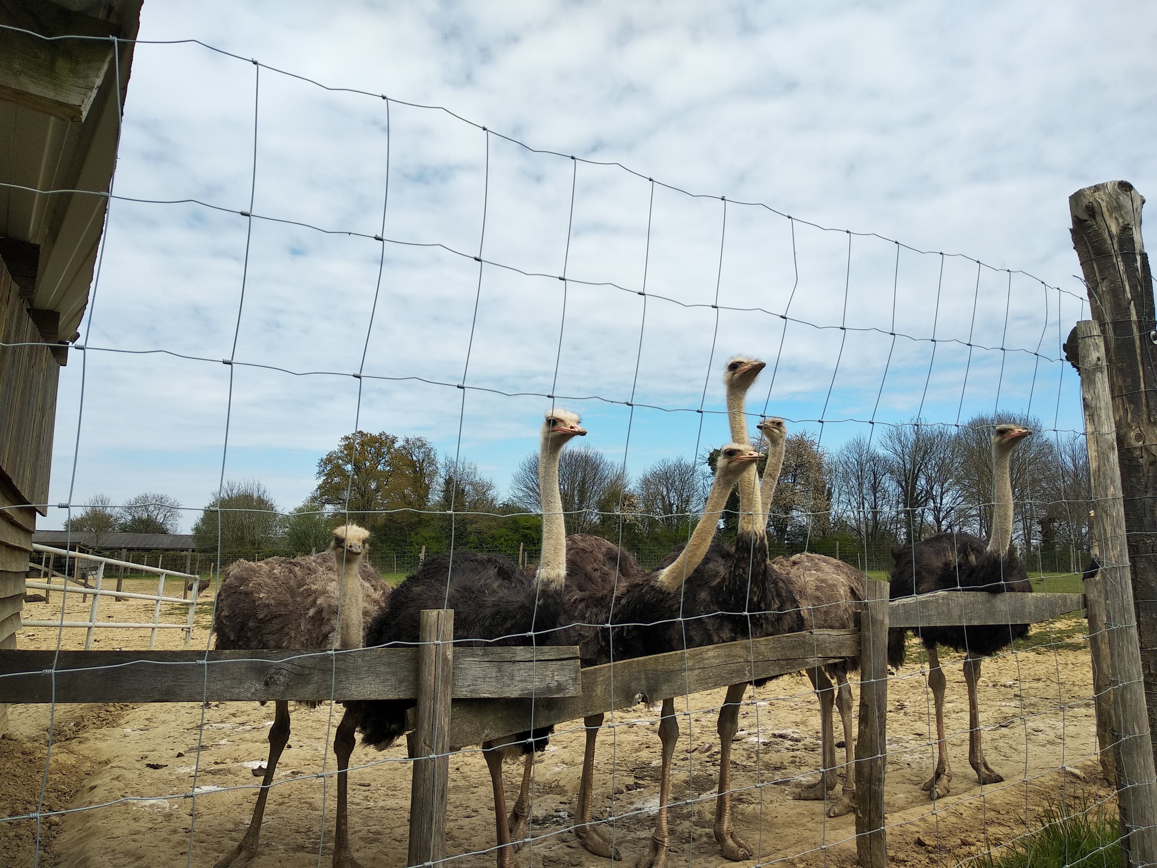 Photo n° 6 de l'avis de Corinne.r fait le 20/04/2019 à 14:41