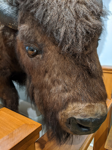 Museum «Woodman Museum», reviews and photos, 182 Central Ave, Dover, NH 03820, USA