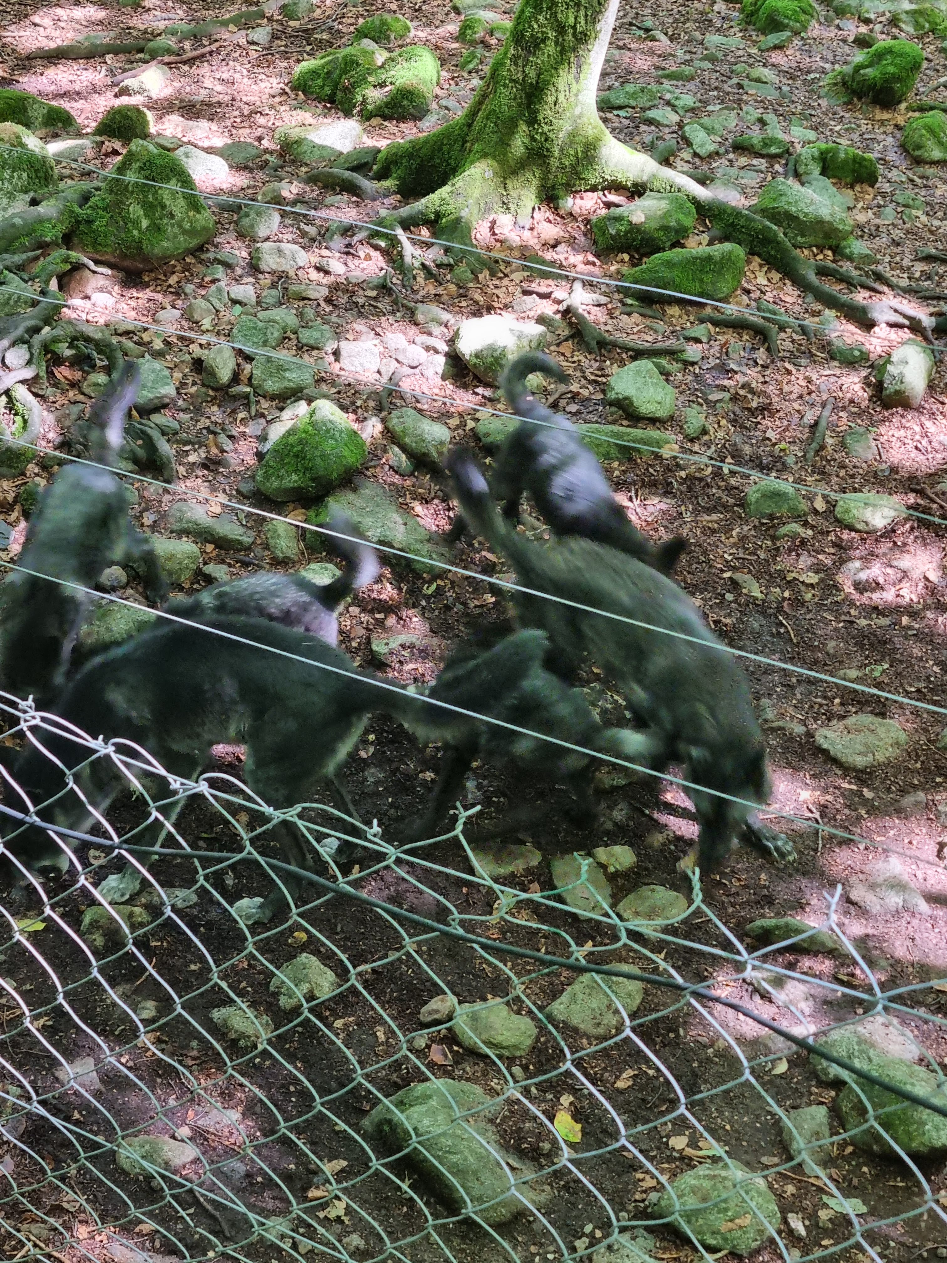 Photo n° 6 de l'avis de Laetitia.a fait le 27/08/2022 à 15:00