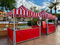 Corporate Follies - Photo 4 - Car repair in , Phoenix