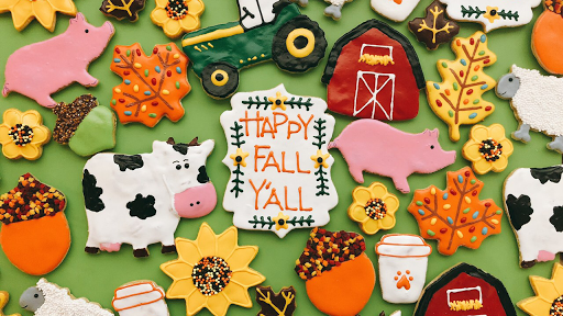 Pet Store «Fetch & Friskers Barkery and Bow-tique», reviews and photos, 701 S Main St, Boerne, TX 78006, USA