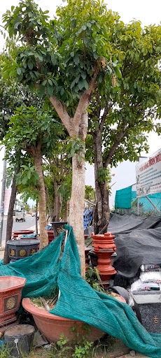 Top 7 cửa hàng hồng nhiên Huyện Khánh Vĩnh Khánh Hòa 2022