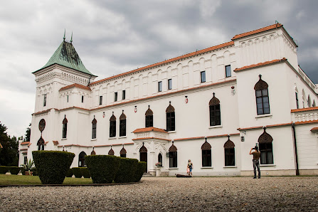 Zamek w Przecławiu Podzamcze 8, 39-320 Przecław, Polska