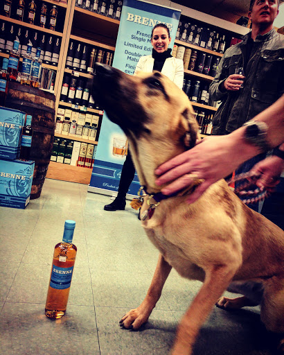 Wine Store «Norfolk Wine & Spirits», reviews and photos, 206 Dedham St, Norfolk, MA 02056, USA