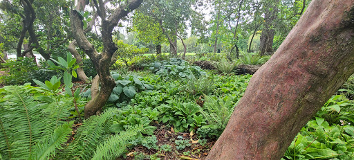 Golf Course «Eastmoreland Golf Course», reviews and photos, 2425 SE Bybee Blvd, Portland, OR 97202, USA