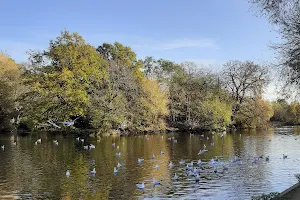 Tooting Bec Common image