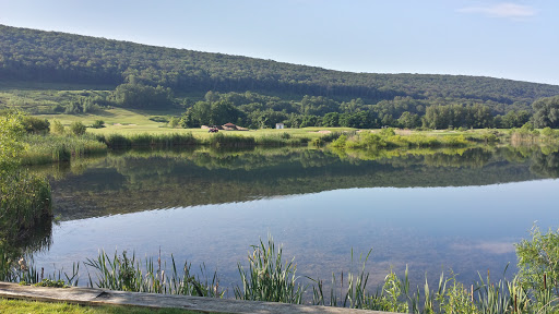 Golf Course «Berkshire Valley Golf Course», reviews and photos, 28 Cozy Lake Rd, Oak Ridge, NJ 07438, USA