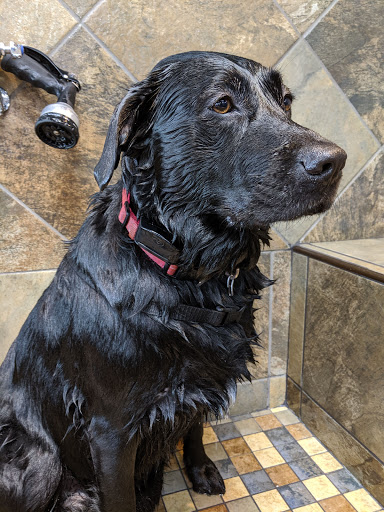 Pet Store «Pet Valu», reviews and photos, 7164 Ridge Ave, Philadelphia, PA 19128, USA