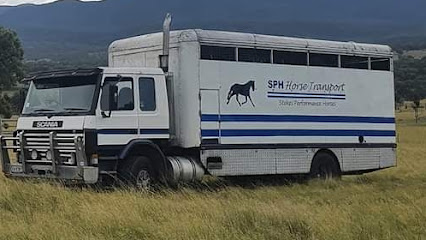 SPH Horse Transport Newcastle (Stokes Performance Horses)