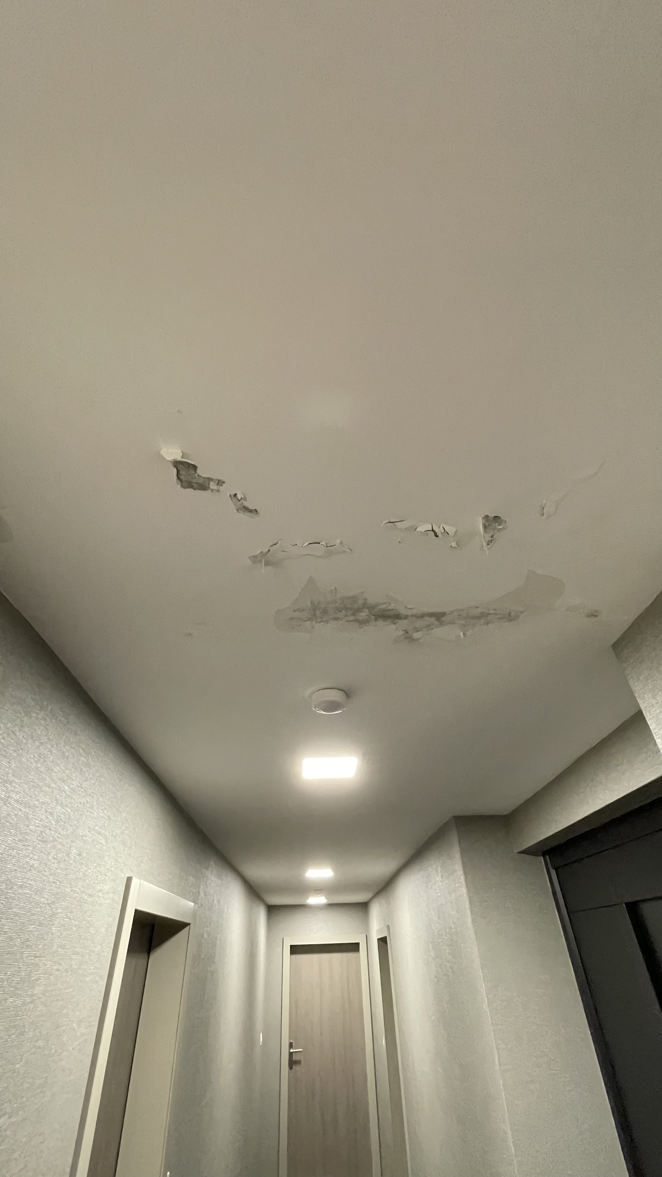 Photo n° 8 de l'avis de Bodorsan.a fait le 30/10/2023 à 19:57