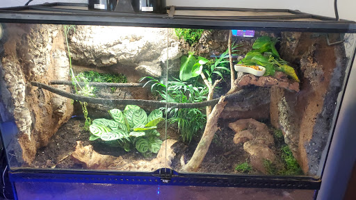 Pet Supply Store «Petco Animal Supplies», reviews and photos, 15790 South La Grange Road, Orland Park, IL 60462, USA