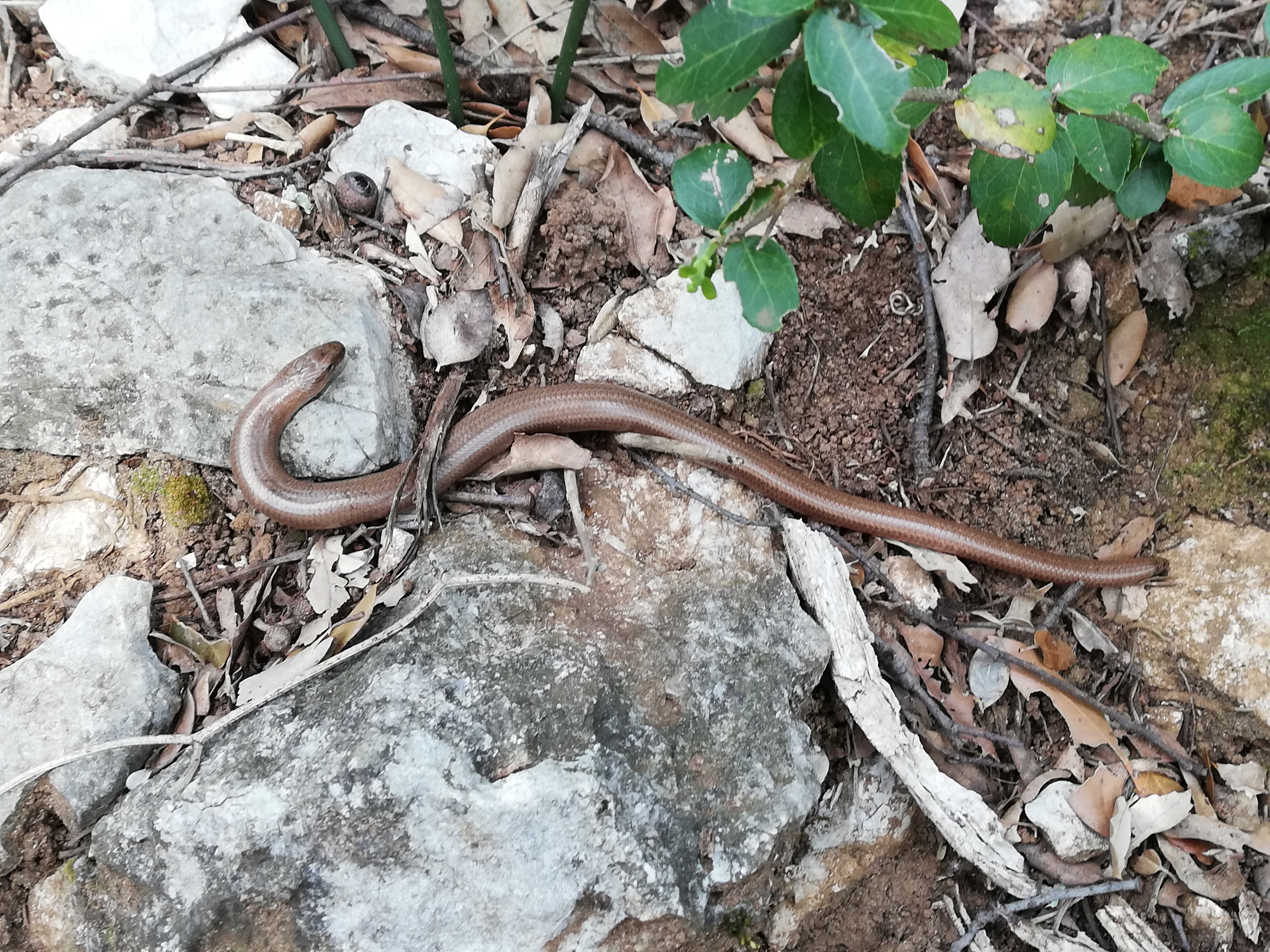 Photo n° 18 de l'avis de Sylvain.o fait le 17/04/2019 à 17:25