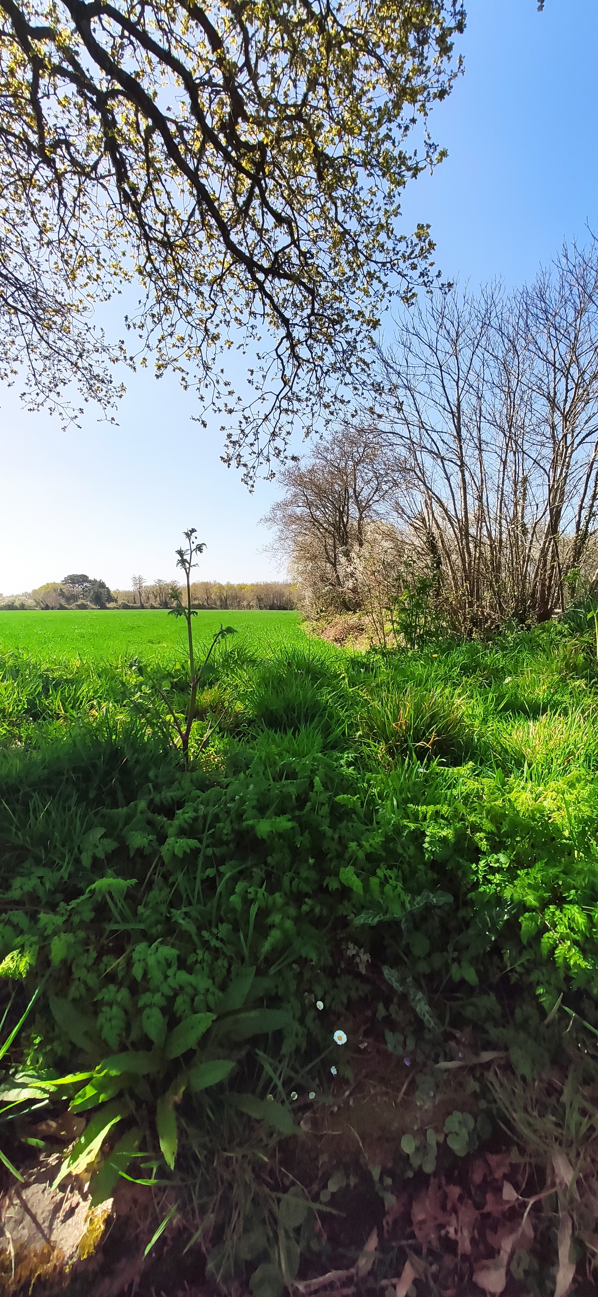 Photo n° 8 de l'avis de Pierre.a fait le 05/04/2021 à 14:44