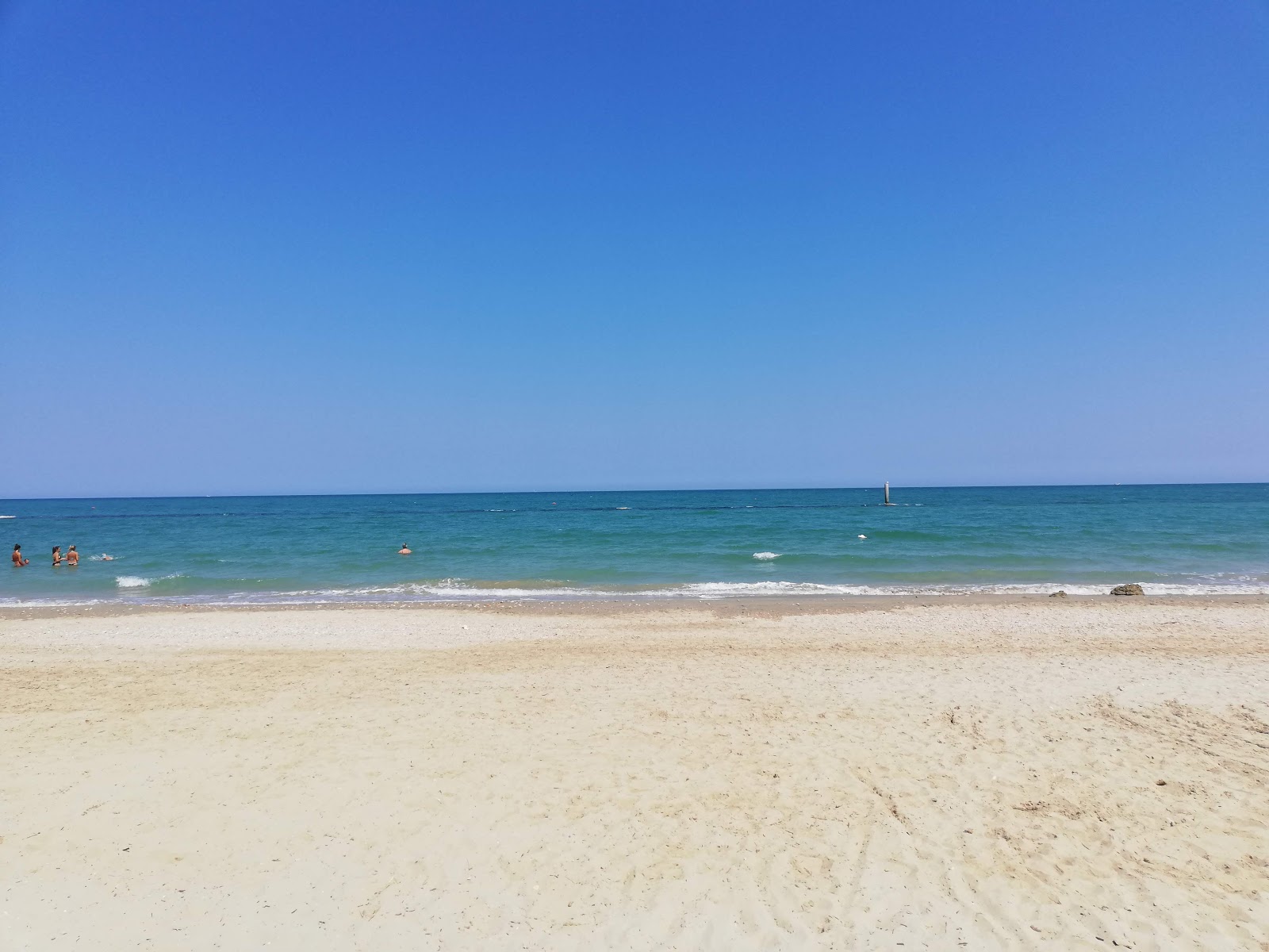 Dog Beach的照片 带有宽敞的海岸