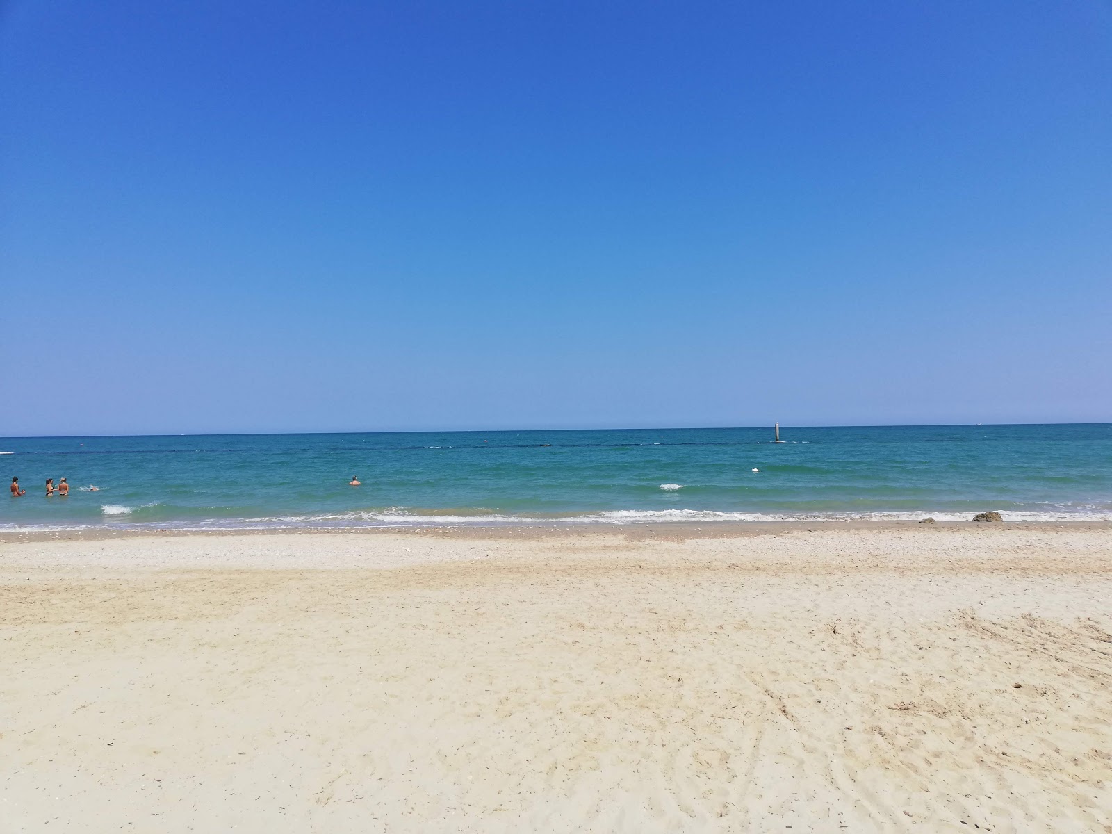 Foto von Dog Beach mit geräumiger strand