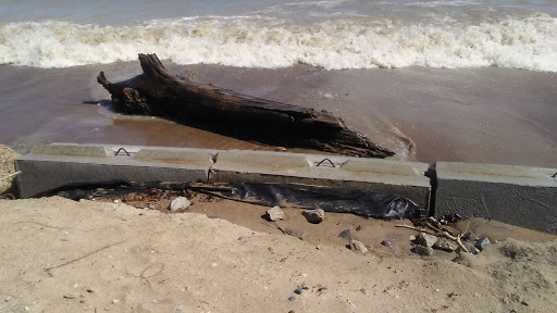 Park «Fort Gratiot County Park», reviews and photos, 3325 Metcalf Rd, Fort Gratiot Twp, MI 48059, USA