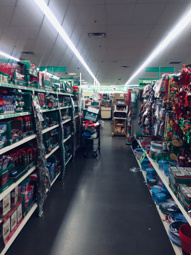 Dollar Store «Dollar Tree», reviews and photos, 4455 E McKellips Rd #101, Mesa, AZ 85215, USA