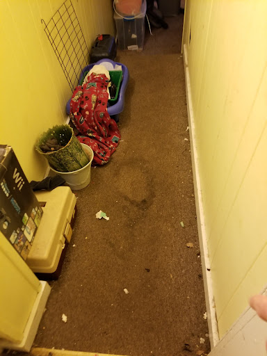 Plumber «Roto-Rooter Plumbing & Drain Services», reviews and photos, 3 Perimeter Rd #3, Manchester, NH 03103, USA