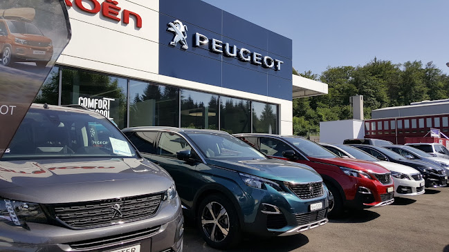 Kommentare und Rezensionen über Erne & Kalt AG - Citroën - Peugeot - DS Automobiles