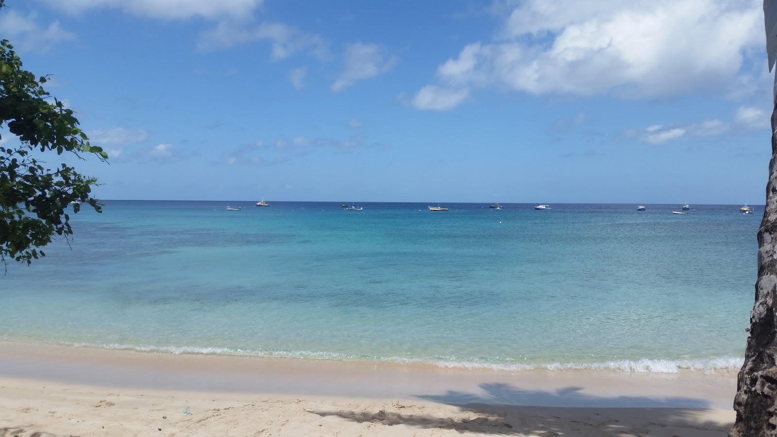 Braddy's beach'in fotoğrafı çok temiz temizlik seviyesi ile