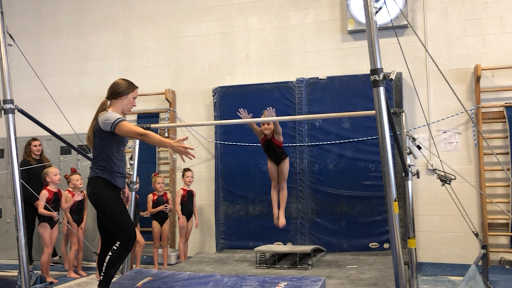 Gymnastics Center «All American Gymnastics», reviews and photos, 95 S 1400 W, Lindon, UT 84042, USA