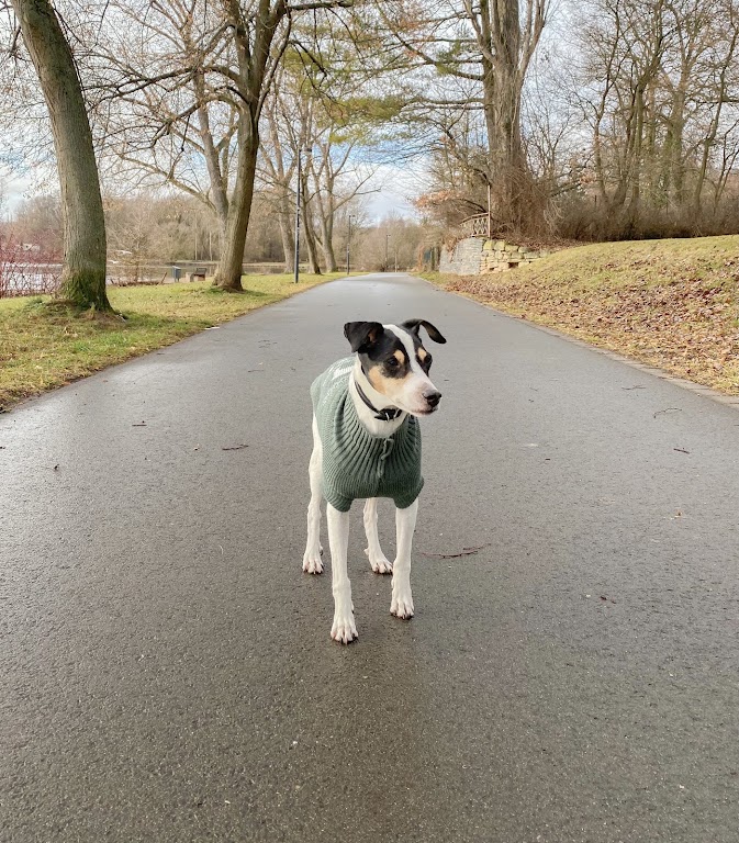 Tierarztpraxis am Wasserturm